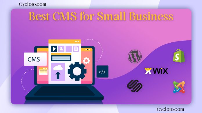 Best CMS for small business